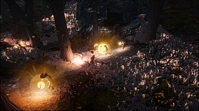 Whisper of the Swallows