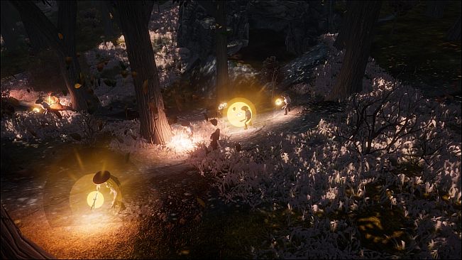 Whisper of the Swallows