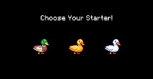 Champions' League for Ducks
