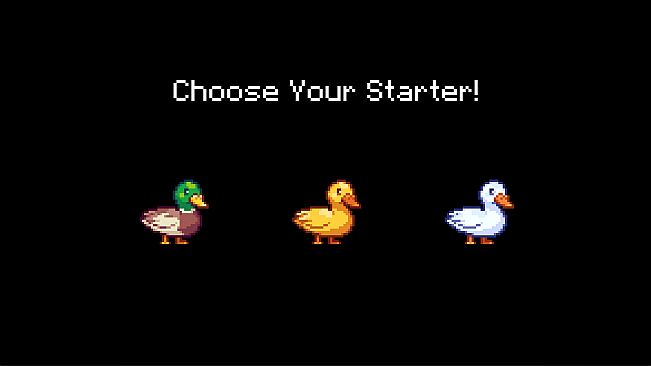 Champions' League for Ducks