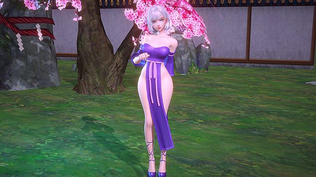 Angel Legion-DLC Draped Corsetry A
