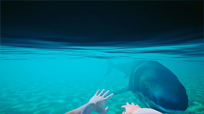 Beach Club Simulator 2024