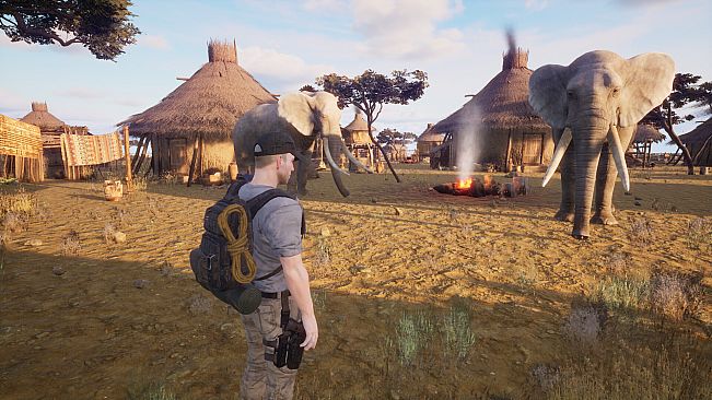 Africa Survival