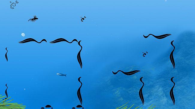 Euphausia superba: The Antarctic Krill