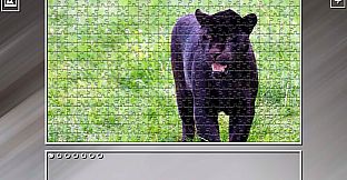 Super Jigsaw Puzzle: Generations - Big Cats 3