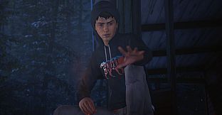 Life is Strange 2 - Arcadia Bay Patches DLC