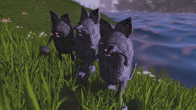 Floppy Cat Adventures