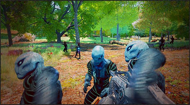 The Seasons Collection: Spring