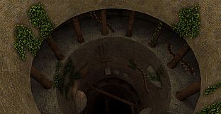 Soft Ruin