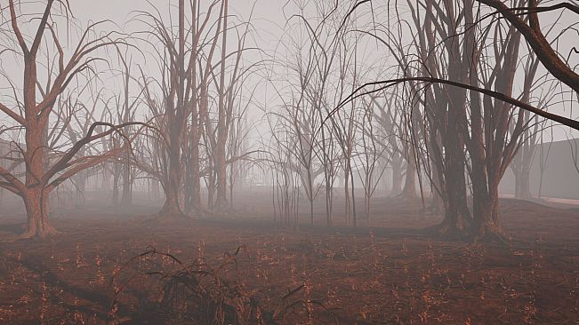 Backrooms:MEG Archives