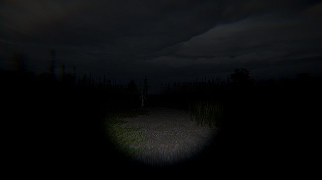 Disquiet Fields