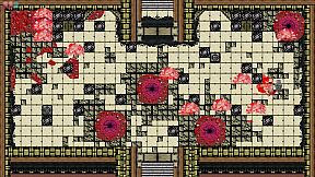 The Knowledge of Hermit