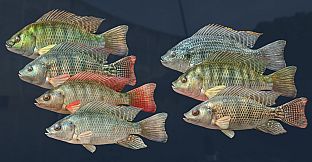 Ultimate Fishing Simulator - Kariba Dam DLC