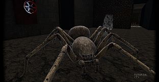 ESCAPE THE NEST
