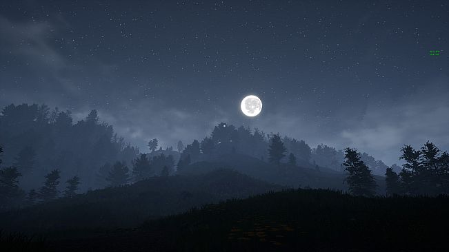 Tales From Hoia Baciu Forest