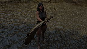 THE FATE OF MIRADOR CHAPTER ONE