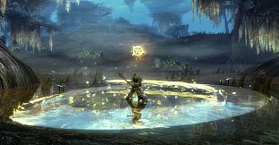 Expansion Starter Pack - Guild Wars 2: Heart of Thorns and Path of Fire