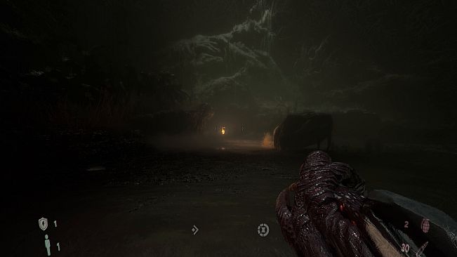 The Void