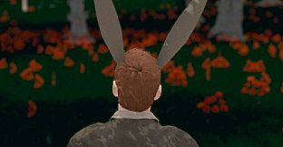 Hide and Seek - Rabbit Ears