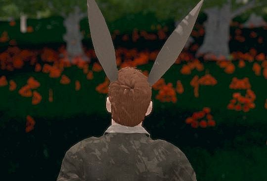 Hide and Seek - Rabbit Ears