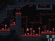 Environmental Station Alpha