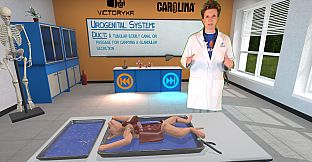 Dissection Simulator: Feline Edition