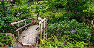 Hidden Pairs 3: Lovely Birds - Hidden Objects