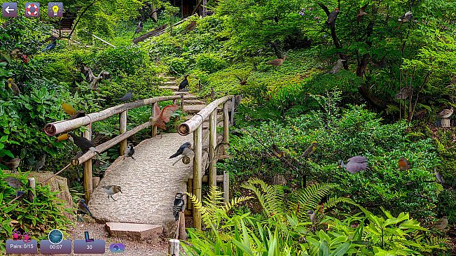 Hidden Pairs 3: Lovely Birds - Hidden Objects