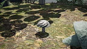 Bizarre Mushroom Cycle Simulator