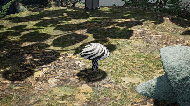 Bizarre Mushroom Cycle Simulator