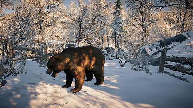 Animals for Clip maker