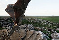 Undead: Rise of the Betrayed King