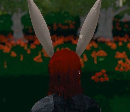 Hide and Seek - Rabbit Ears