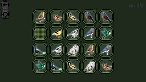 Animals Memory: Birds