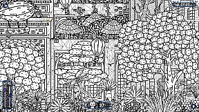 101 Cats Hidden in Antalya