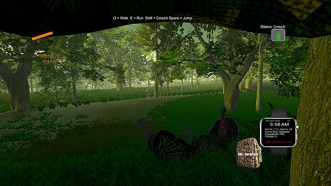 Turkey Hunting - The Season