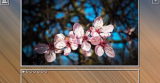 Super Jigsaw Puzzle: Generations - Spring Puzzles