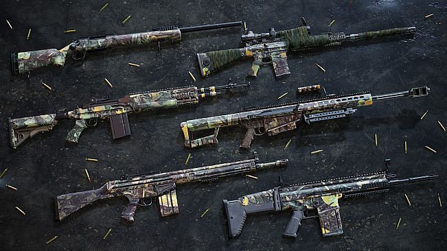 Insurgency: Sandstorm - Hunter Weapon Skin Set