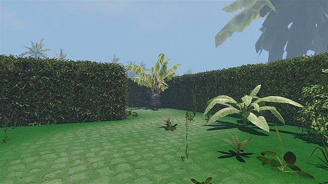 maze to the old castle