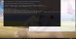 Chameleon Video Player