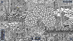 101 Cats Hidden in Shenzhen