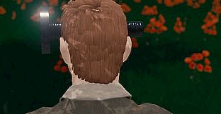 Hide and Seek - Screw Head