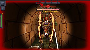 Dungeon Raider
