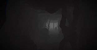 Survive Till Morning