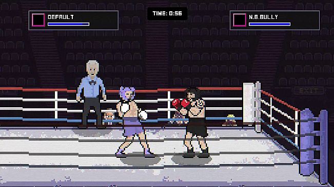 Bruisers 2D Boxing