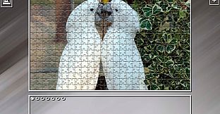 Super Jigsaw Puzzle: Generations - Parrots