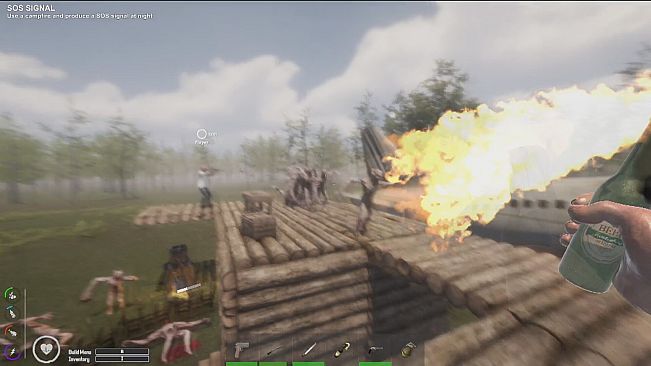 The Seekers: Survival