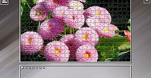 Super Jigsaw Puzzle: Generations - Flowers 2