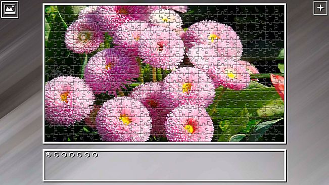 Super Jigsaw Puzzle: Generations - Flowers 2
