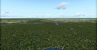 FSX Steam Edition: Toposim US Southeast Add-On